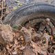 Image for article titled I Found A Car Buried In A Texas Riverbed. Can You Identify It With These Clues?